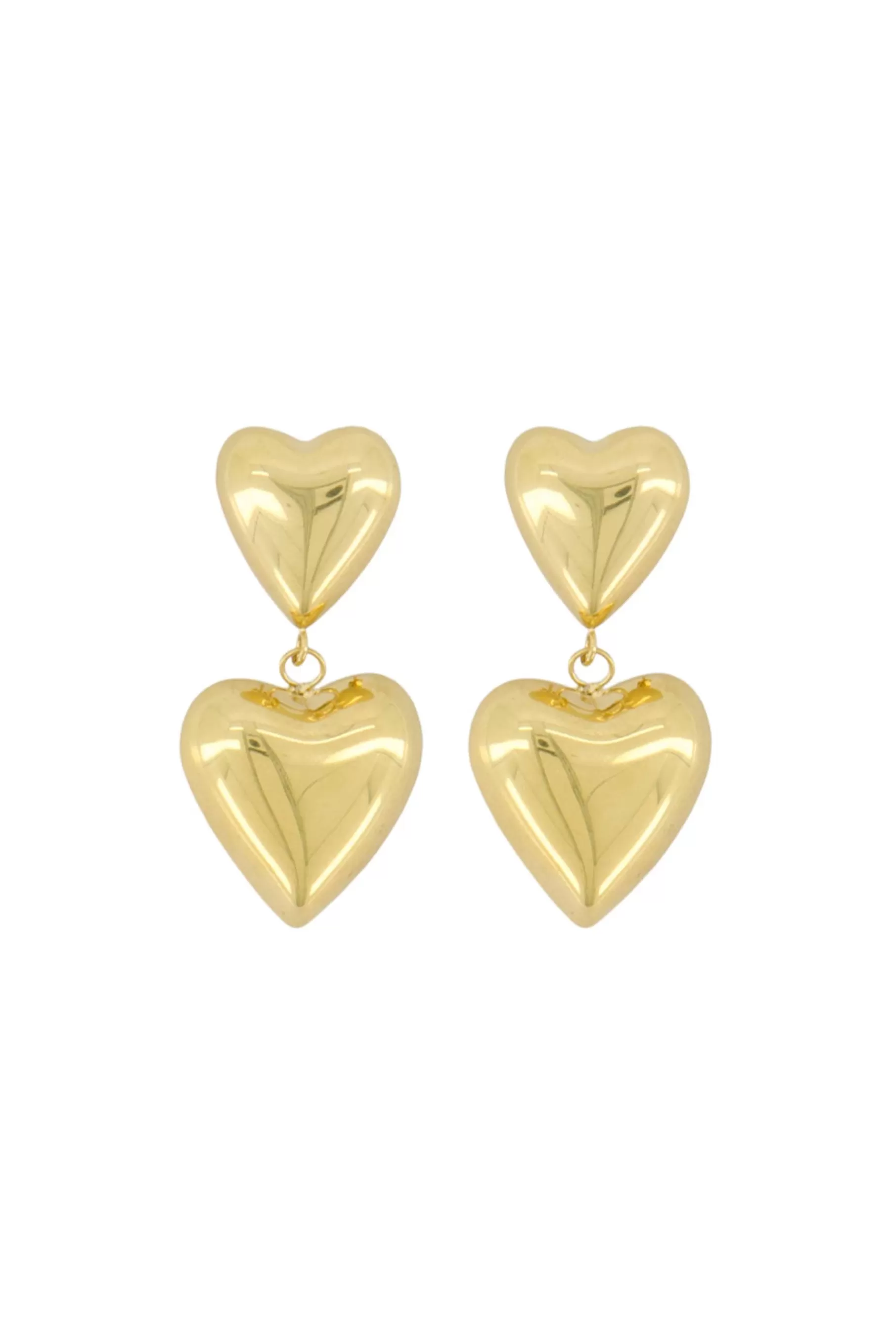 New oorbel met twee hartjes Oorbellen